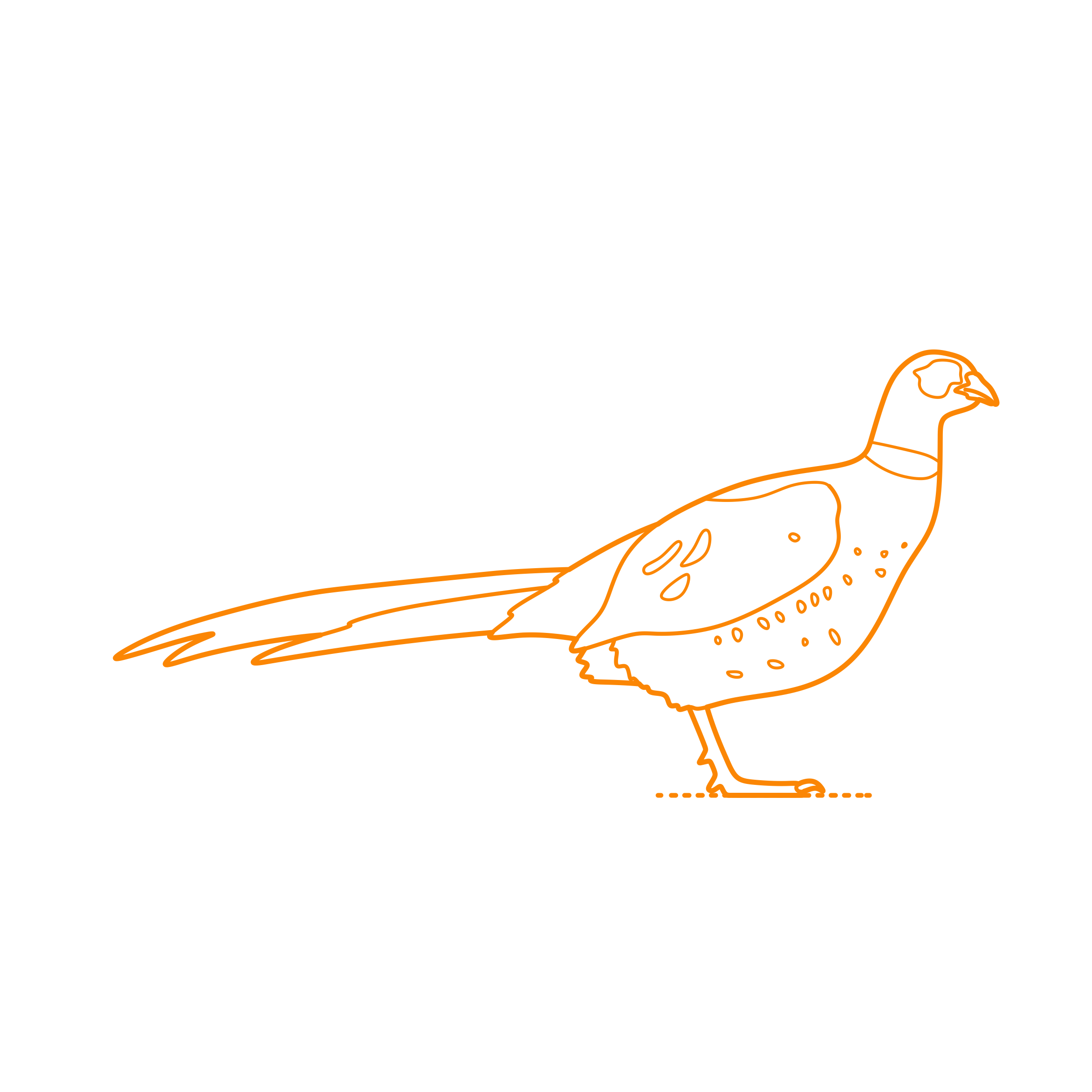 Animals Gamefowl Common Pheasant Outline Svg Vector Free Vectors